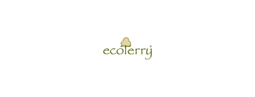 Creación de una tienda online para Ecoterry