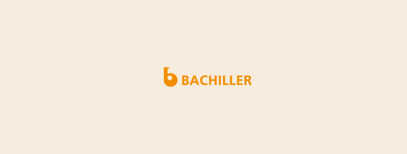 Creación de una página web para Bachiller