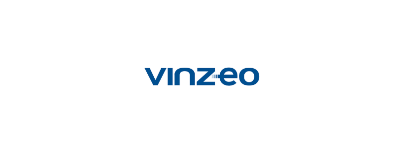 Realización del diseño web para Vinzeo
